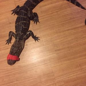 Meet your Posher, Jacob